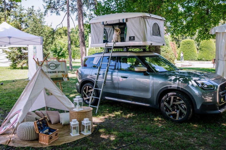 MINI Srbija podržao treći Festival uličnih pasa