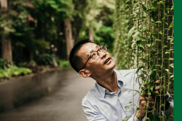 ZELENO PUTOVANJE KROZ SINGAPUR